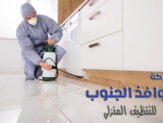 شركة مكافحة حشرات بابها