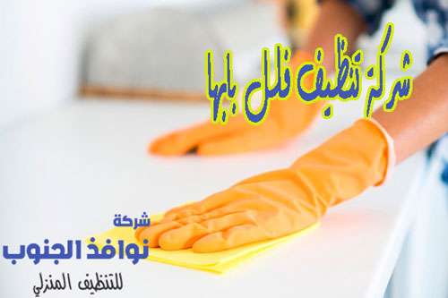 l-(17) شركة تنظيف فلل بابها